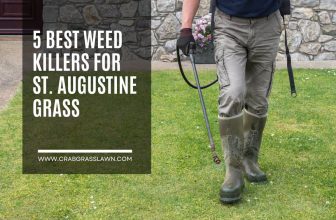 5 Best Weed Killers for St Augustine Grass