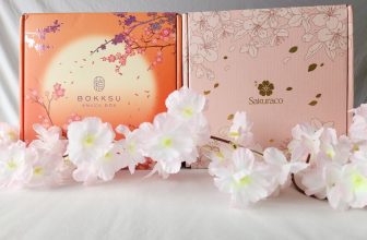Which Japanese Snack Box is Better?