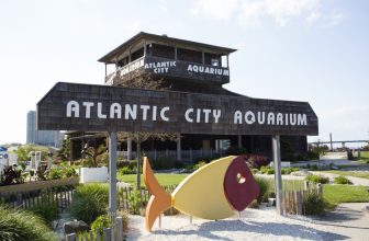 Atlantic City Aquarium Reopens with Exciting New Features!” – Neckies Great Adventures