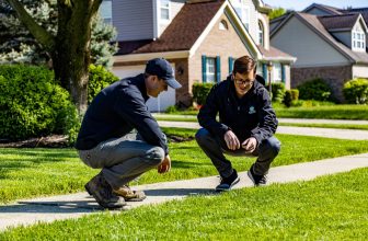 A Step-by-Step Guide for a Total Lawn Makeover
